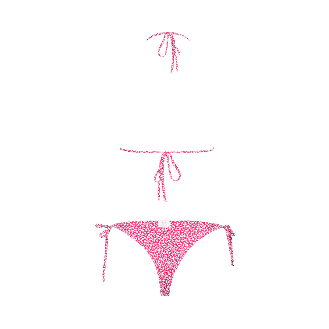 Pink flowers