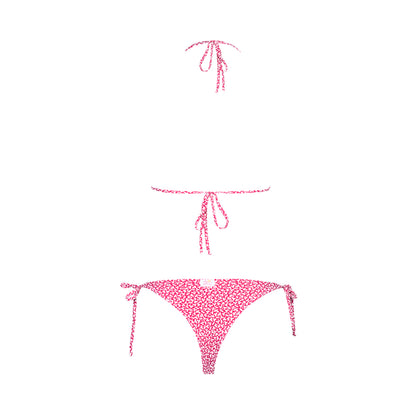 Pink flowers